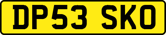 DP53SKO