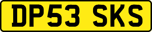 DP53SKS