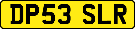 DP53SLR