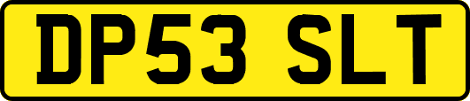DP53SLT