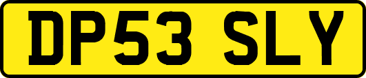 DP53SLY