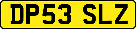DP53SLZ