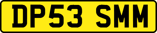 DP53SMM