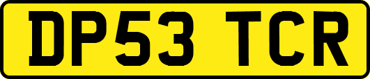 DP53TCR