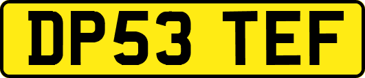 DP53TEF