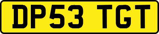 DP53TGT