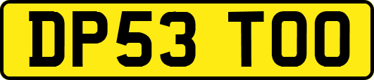 DP53TOO