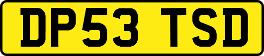 DP53TSD