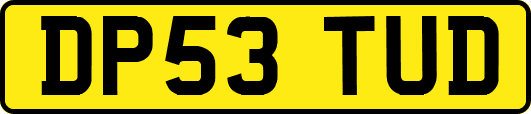 DP53TUD
