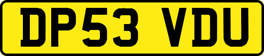 DP53VDU