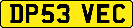 DP53VEC