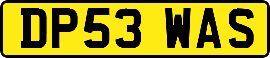 DP53WAS