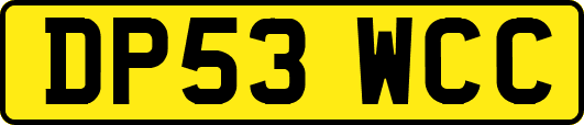 DP53WCC