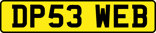DP53WEB