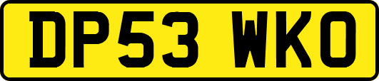 DP53WKO