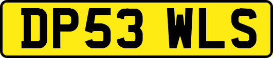 DP53WLS