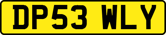 DP53WLY