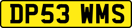 DP53WMS