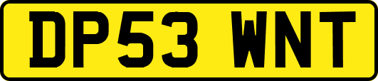 DP53WNT