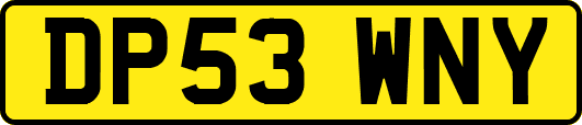 DP53WNY
