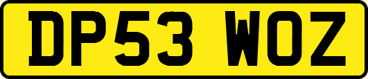 DP53WOZ