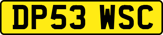 DP53WSC