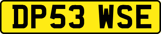 DP53WSE