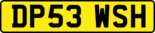 DP53WSH