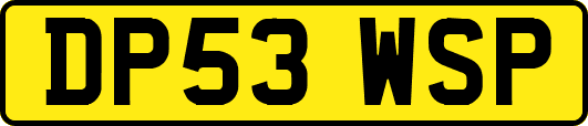 DP53WSP