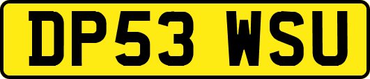 DP53WSU