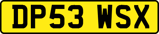 DP53WSX