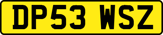 DP53WSZ