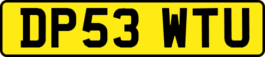 DP53WTU