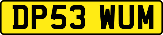 DP53WUM
