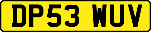 DP53WUV
