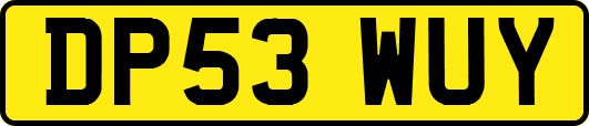 DP53WUY