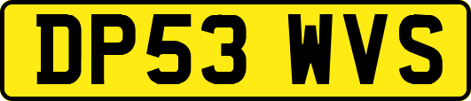 DP53WVS