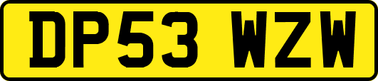 DP53WZW