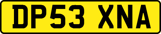 DP53XNA
