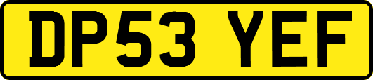 DP53YEF