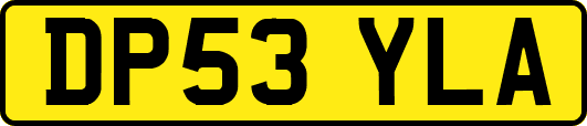 DP53YLA