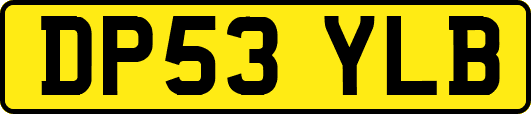 DP53YLB