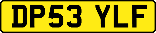 DP53YLF