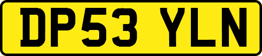 DP53YLN