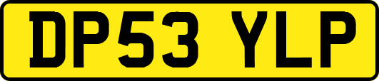 DP53YLP