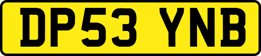 DP53YNB