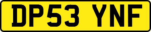 DP53YNF