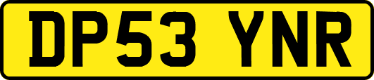 DP53YNR