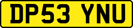 DP53YNU