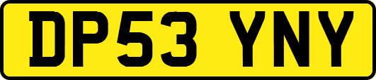 DP53YNY